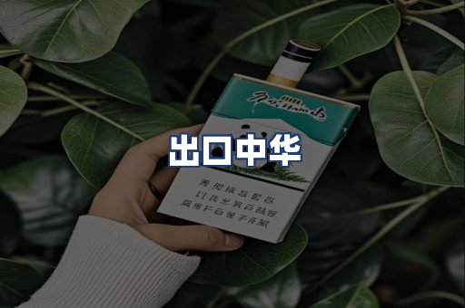 出口中华